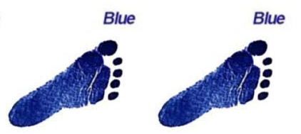 Baby Handprint Footprint Ink Kit